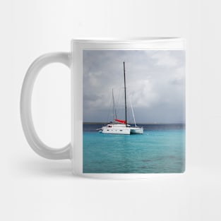 Catamaran moored out in Aruba Mug